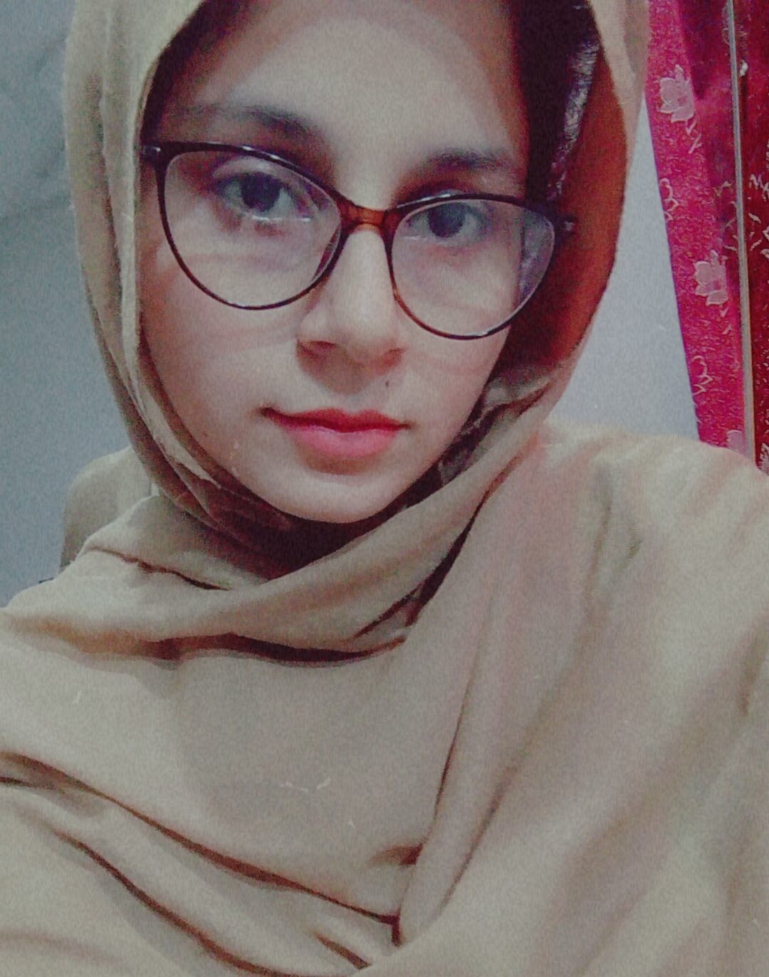 Fizza Ameer